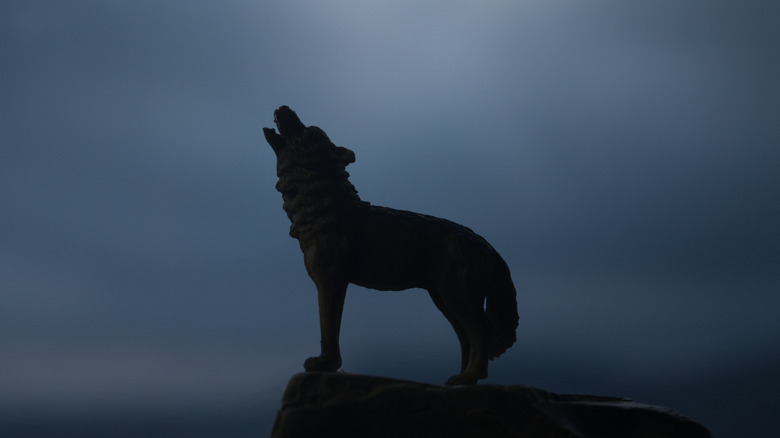 Wolf howling at the moon at night