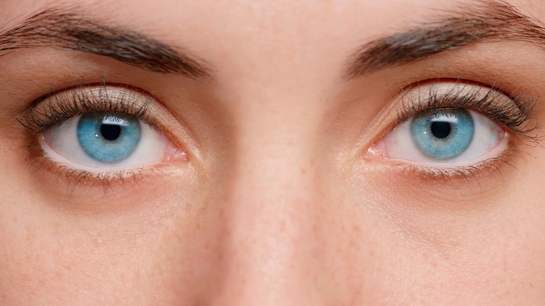 Close up of a woman's light blue eyes, eyebrows, and nose bridge