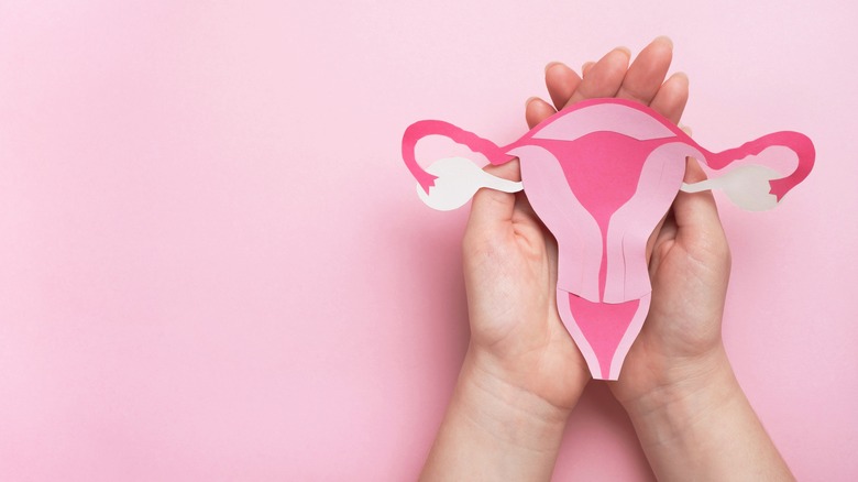 Woman holding model of uterus