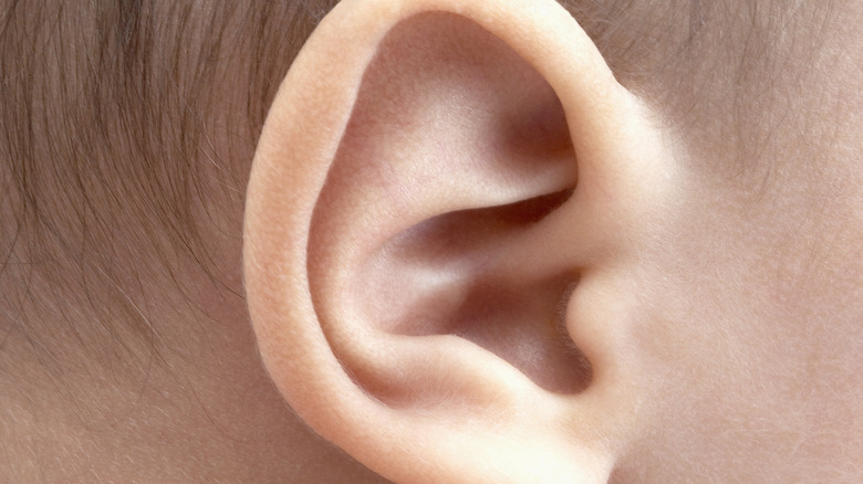 Closeup of baby's earlobe