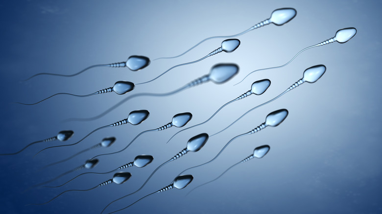 Stylized image of a group of sperm