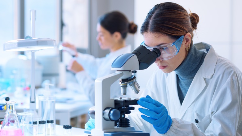 medical researchers working in laboratory