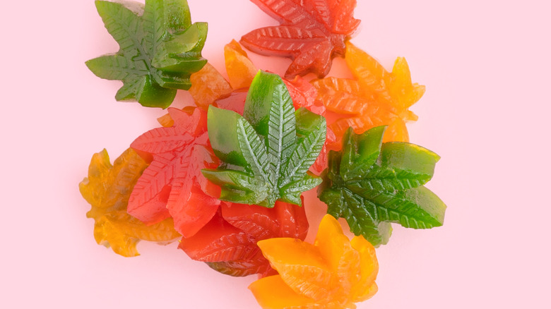 cannabis gummies