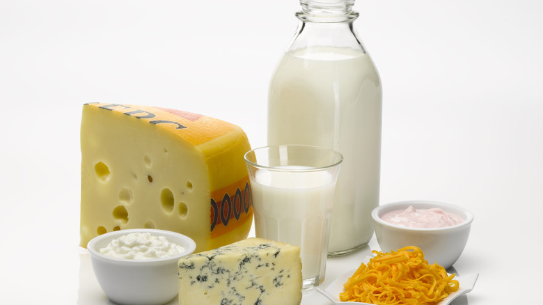 Assorted dairy products such as milk, yogurt, and a variety of cheeses