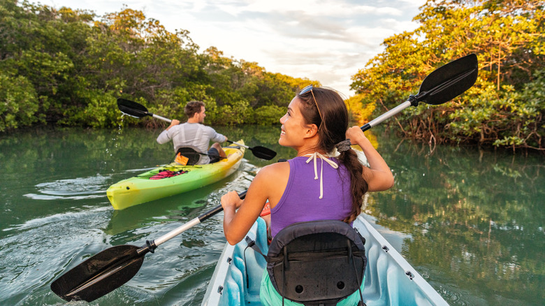 people kayaking in a mangrove