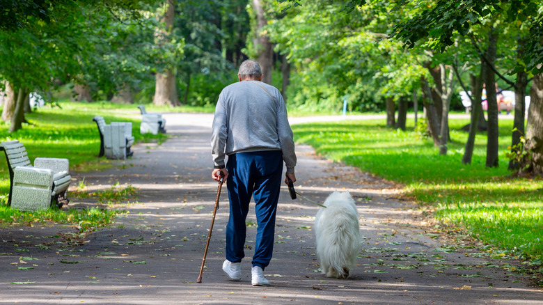elderly man walking his dog in the park