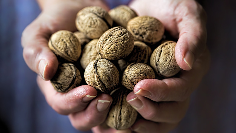 hands holding handful of walnuts