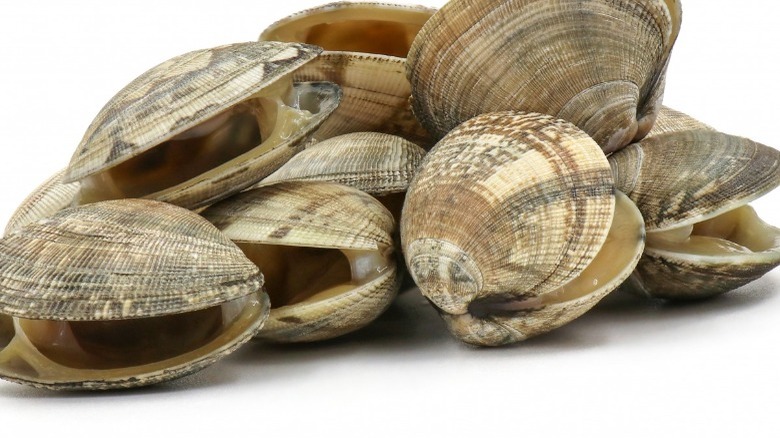 Clams 