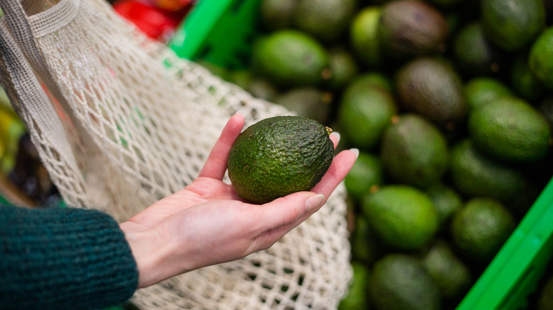 avocado in hand