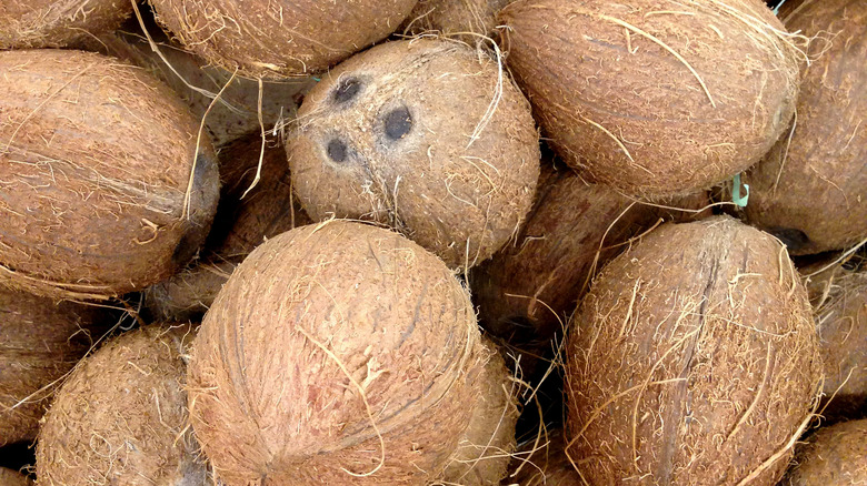 coconuts