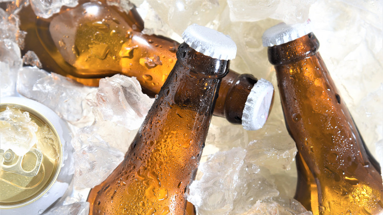 bottles of beer on ice