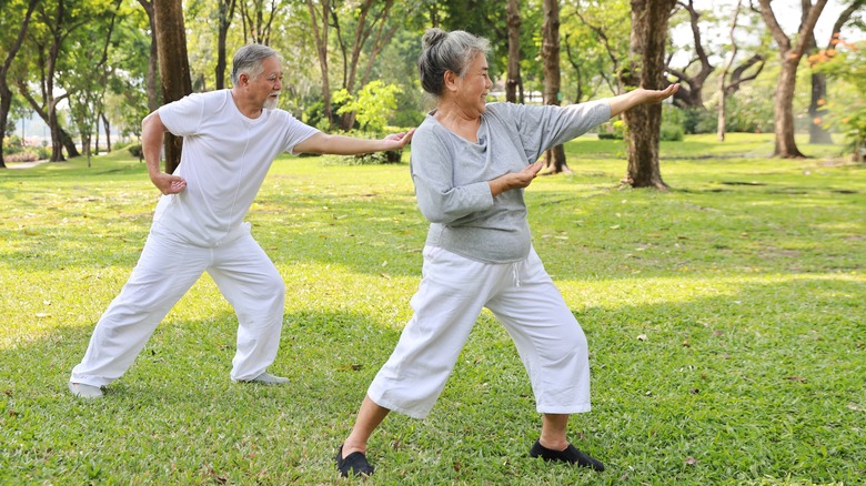 older couple doing tai chi