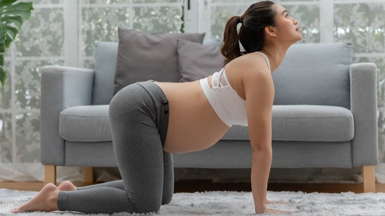 Cat cow pose while pregnant