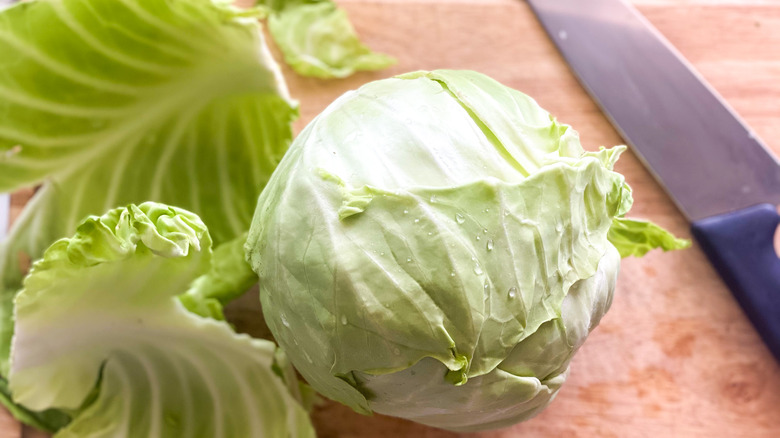 prepping cabbage