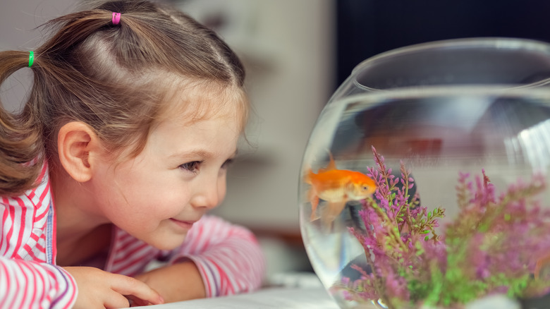 Young girl smiling at pet goldfish in fish bowl