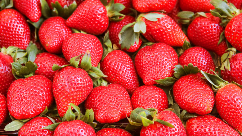 strawberries in bulk