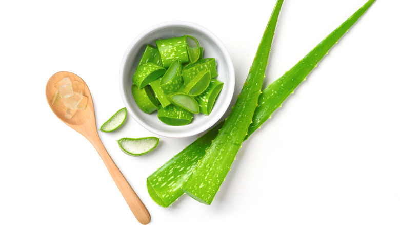 a wooden spoon, aloe vera leaves and cut aloe vera