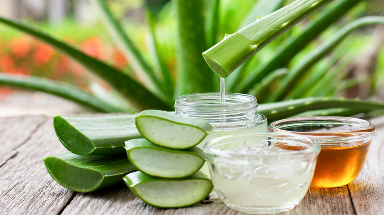 aloe vera leaves, a cup of pure aloe vera gel and a cup of honey 