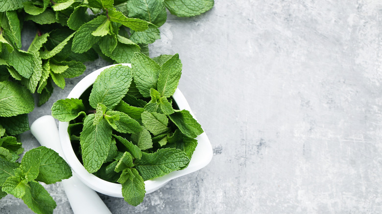 A bowl of mint leaves on a table
