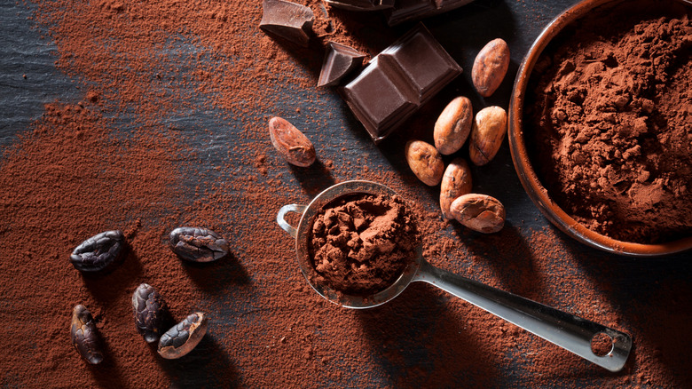 cacao powder and cacao beans