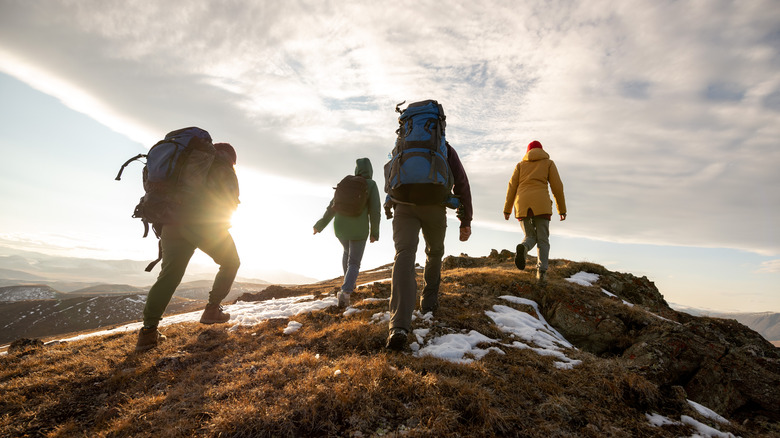 Group of people climbing mountain