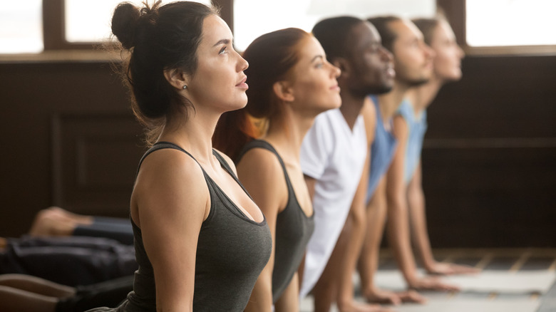 Yoga class in line practicing sun salutations