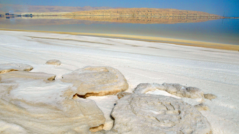 Shore of the Dead Sea