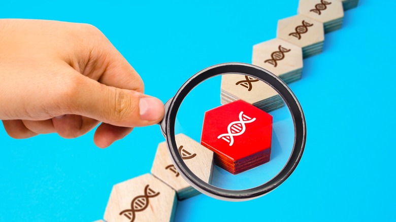 Block model of family genes