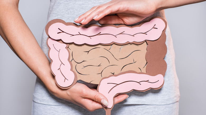woman holding intestine made of paper