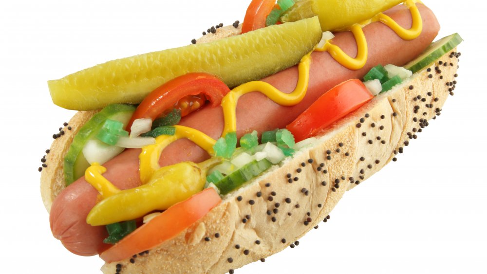 Chicago dog