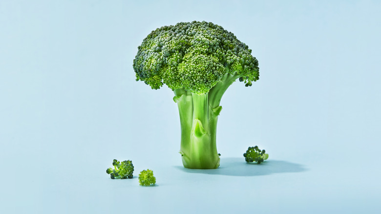 broccoli