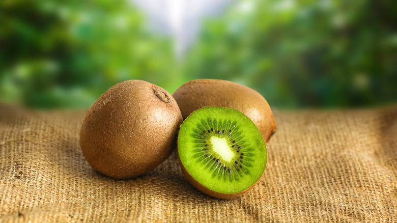 kiwi