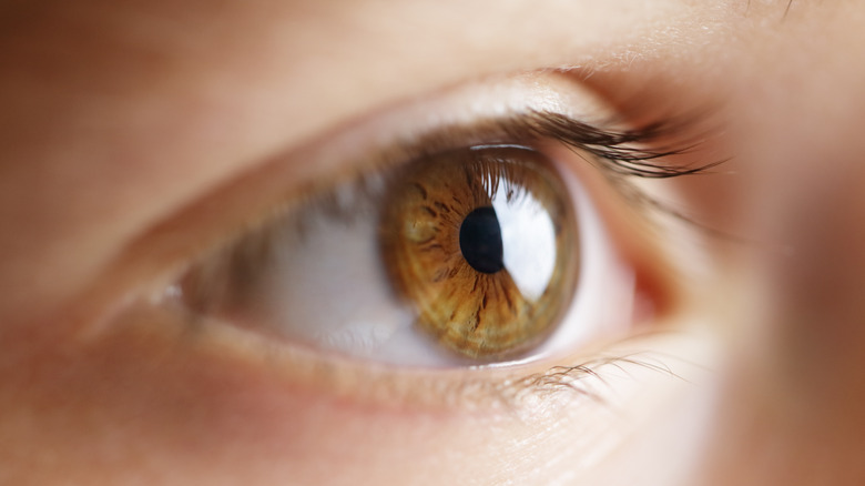 close up of child's eye