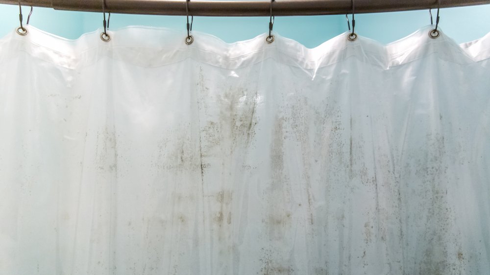 Mold and mildew on shower curtain