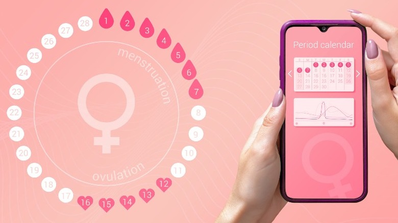 Menstrual cycle calendar on phone