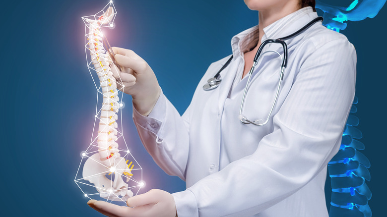 Doctor holding digital spine image