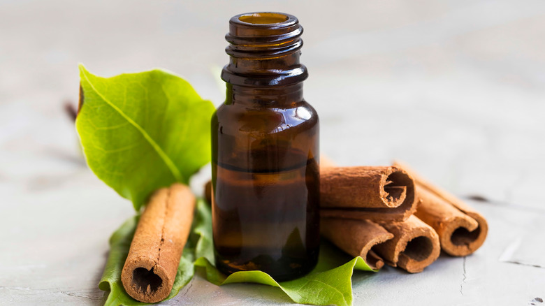 Bottle of cinnamon leaf oil