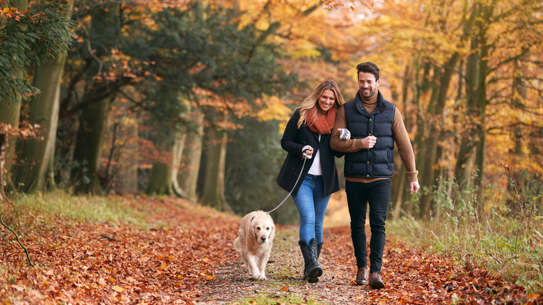 Man and woman walking a dog in the woods