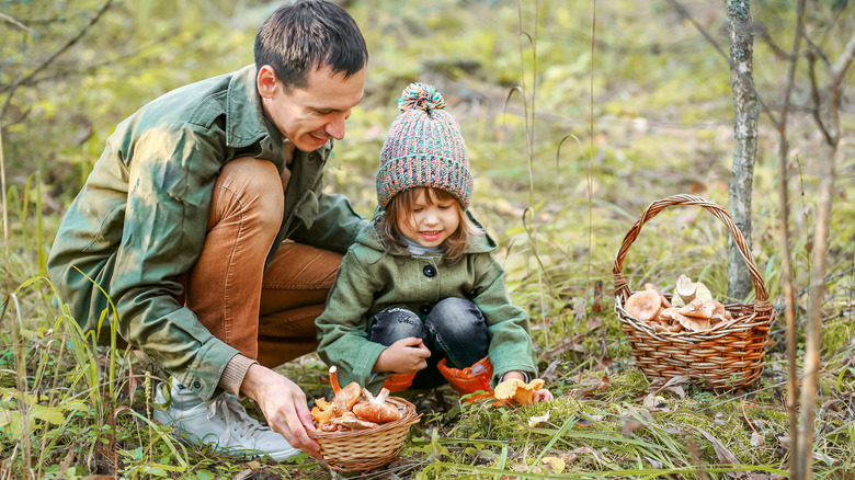 Father and child mushroom gathering