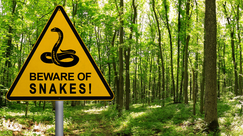 Beware of snakes sign in the woods
