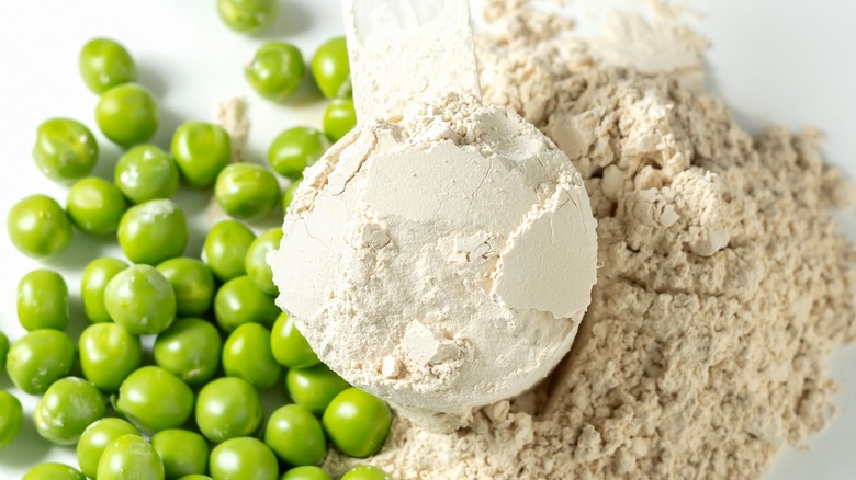 scoop of pea protein powder with peas surrounding it