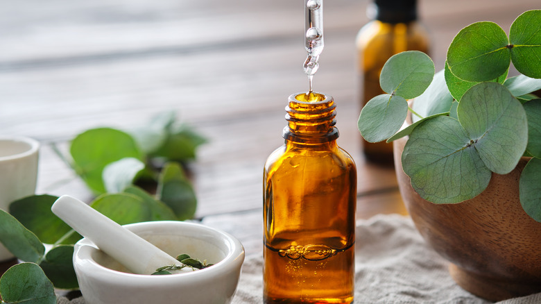 eucalyptus oil dripping through an eyedropper with a mortal and pestle and eucalyptus leaves