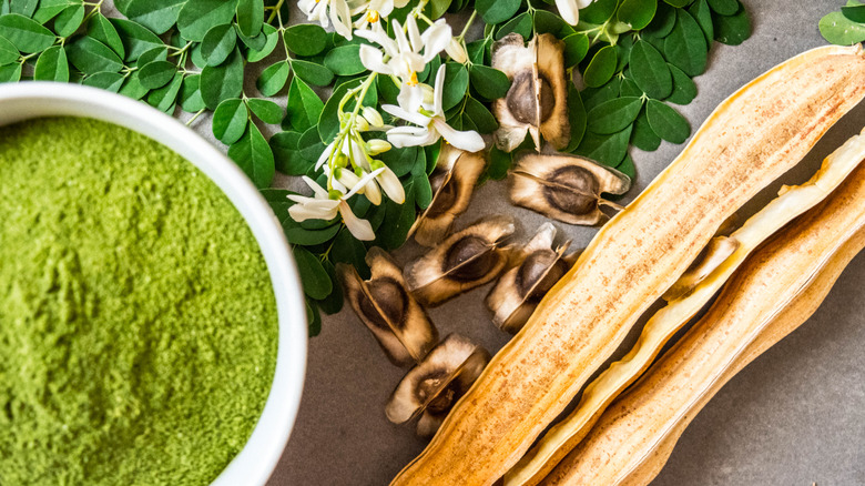 display of different uses of moringa