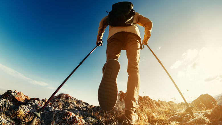 the feet and poles of a hiker 