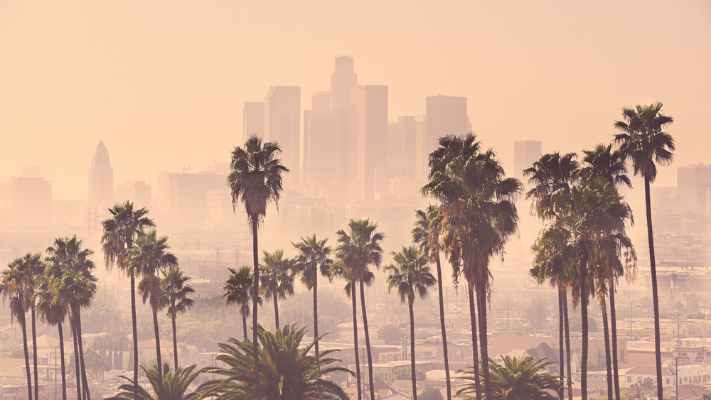 Los Angeles skyline with smog