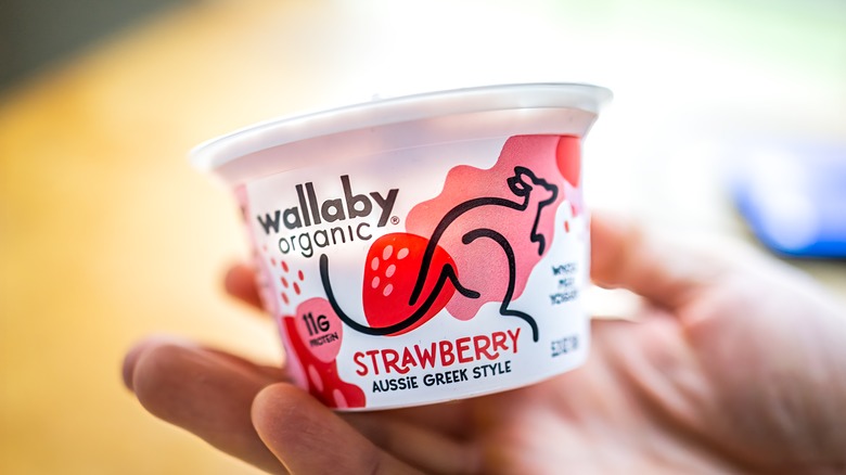 close up of hand with white and red yogurt container