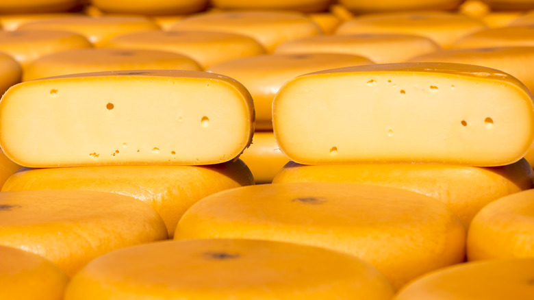 Traditional wheels of Gouda cheese