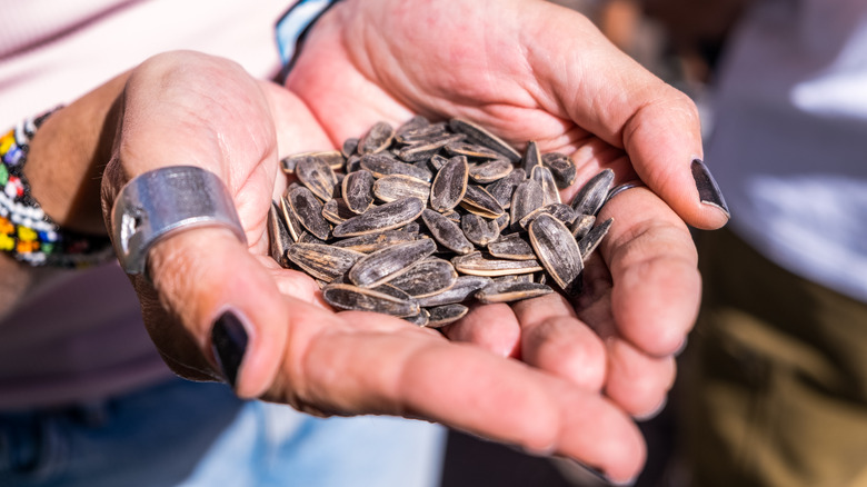 Person with an handful of sunflower seeds in shell