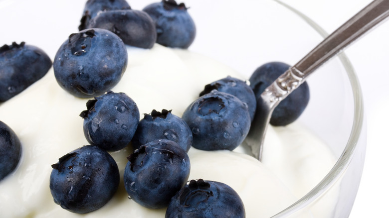 a dish of yogurt with blueberries