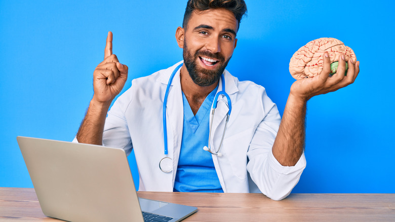 Doctor holding model of brain